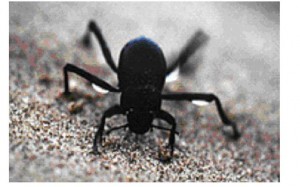 UAM_0305_3 UAM_0305_3