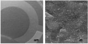 Figura 1 UAH (mayo 16)