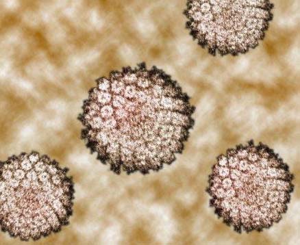 Verrugas por Virus del Humano: algunas respuestas del Centro de Control de Enfermedades (CDC) - Salud Pública y algo más