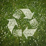 iStock_000009488373XSmall