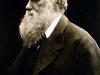 o_250px-Charles_Darwin_by_Julia_Margaret_Cameron