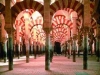 o_[Murcia_Abderraman_II]_Interior_Mezquita_de_Cordoba