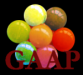 o_logo_GAAP