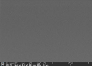 Figura 2 Micrografía obtenida con microscopio electrónico de barrido (MEB) utilizando detector CBS y aumento de 500x del recubrimiento con una concentración de fluconazol saturado en agua (100%)
