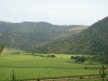           Paisaje Mediterraneo de Chile                     