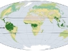 o_Bosques tropicales Mapa