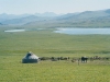 o_Estepas Xinjiang