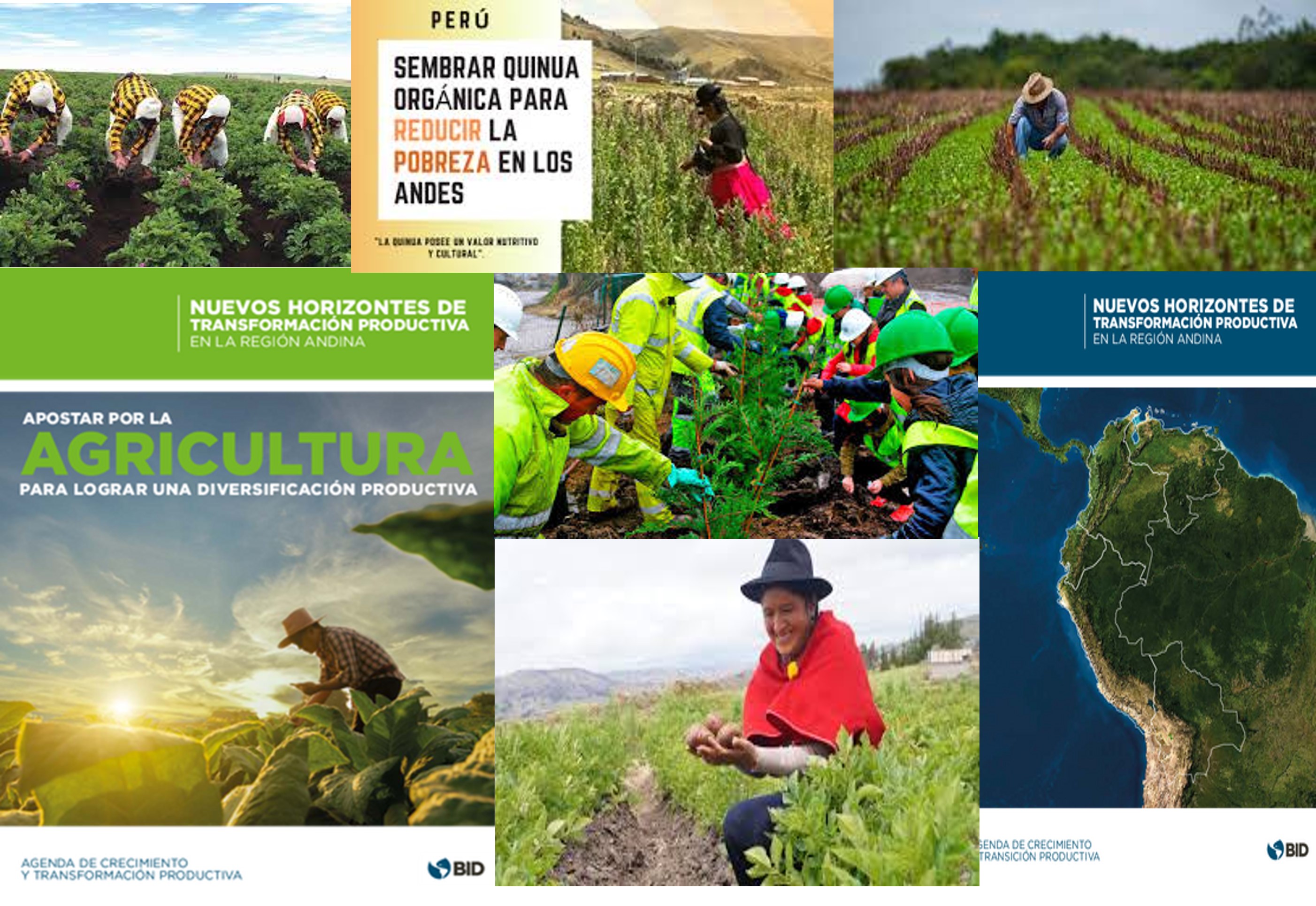 BID-LIbro-transformacion-productiva