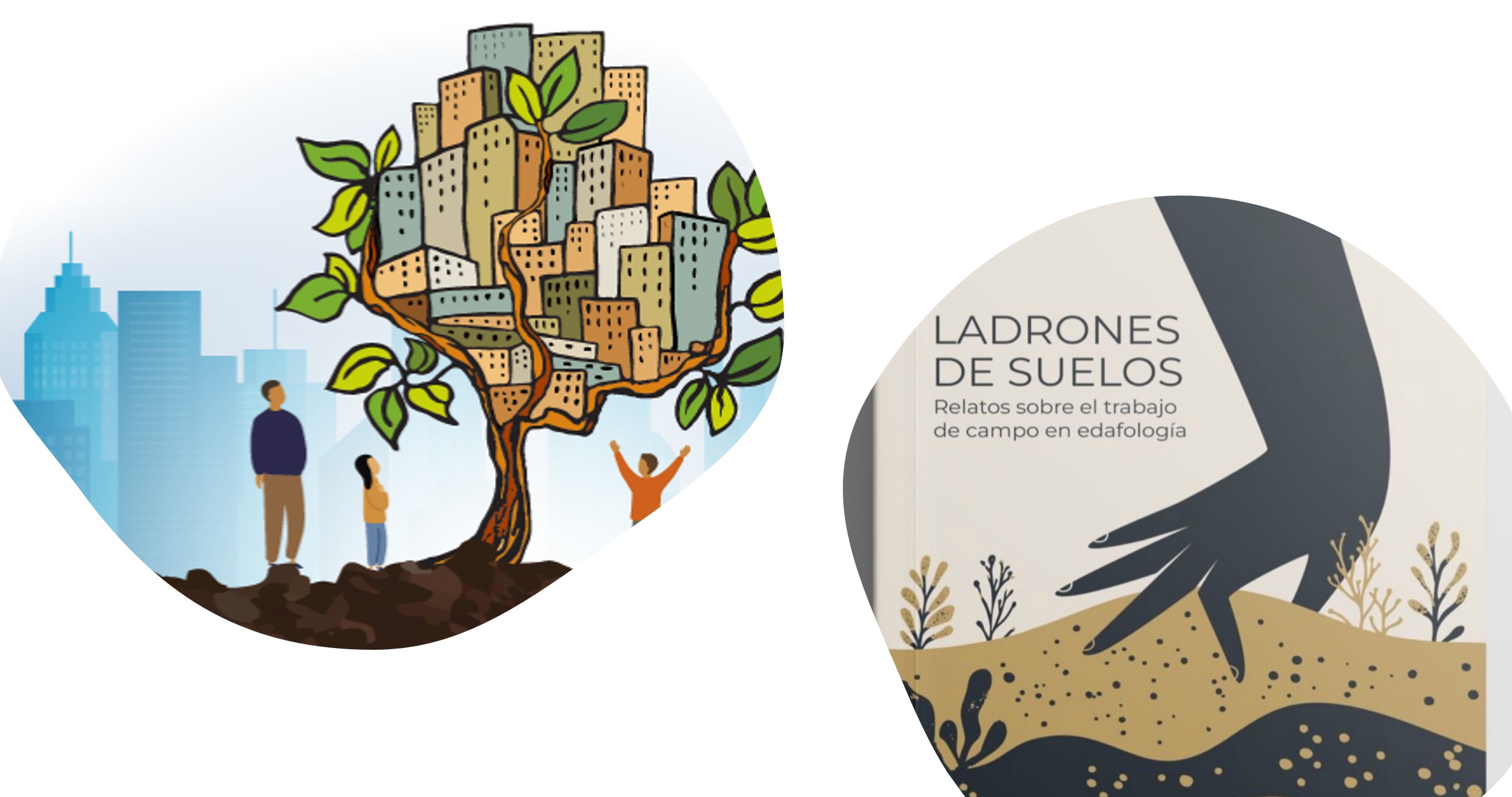 Dia-mundil-del-Suelo-2025