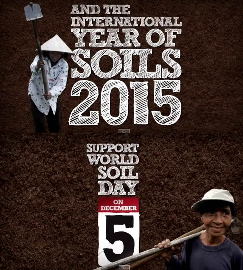 ano-y-dias-mundiales-del-suelo