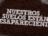 ano-mundial-del-suelo