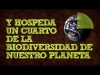 ano-munial-de-suelo-biodiversidad
