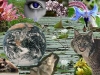 diccinario-de-la-biodiversidad-fuente-inbio