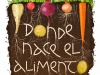 fao-ano-internacional-del-suelo