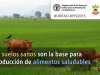 fao-kits-ano-mundial-del-suelo