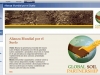 gsp-pagina-web