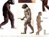 humanos-modernos-y-neardentales-fuente-blog-el-origen-del-ser-humano