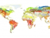 mapa-de-suelos-del-mundo-mi-post-de-vzj
