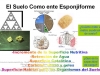nuervo-concepto-de-suelo