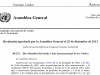 onu-resdolucion-sobre-el-ano-mundial-del-suelo