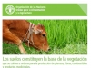 suelos-vegetacion-y-alimantacion