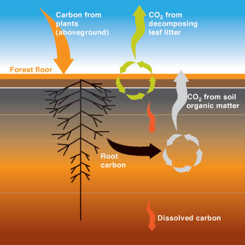 emisiones-de-gases-de-invenradero-y-calentamiento-climatico-fuente-science-and-technology-revivews2