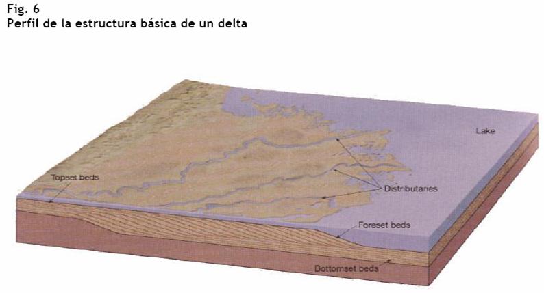 esquema-basico-de-un-delta-fuente-world-reference-base-for-soil-resources-wrb-fao-2000