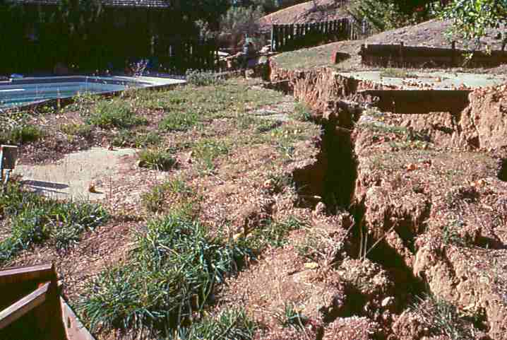 loma-prieta-cal-state-la-lomaprietasofsoil