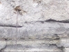 capa-de-cenizas-y-lapilli-que-cubren-un-suelo-subyacente-fuente-nova-geoblog-northern-virginia-community-college