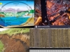 carbon-vegetal-y-ciclo-del-carbono
