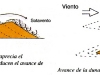 dunas-formacion-esquema-fuente-biogeo2