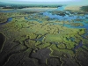 estuarios-fuente-noaa