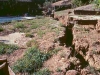 loma-prieta-cal-state-la-lomaprietasofsoil_0