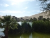 oasis-en-el-desierto-de-tica-peru