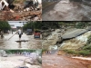 riadas