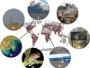 salvar-nuestras-especies-drivers-of-change