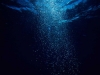vida-profundidas-de-la-tierra-fuente-earthtimes-org