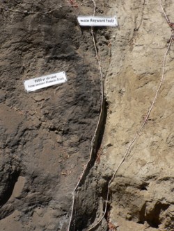 typos-de-suelos-y-terremotos-diy-guides