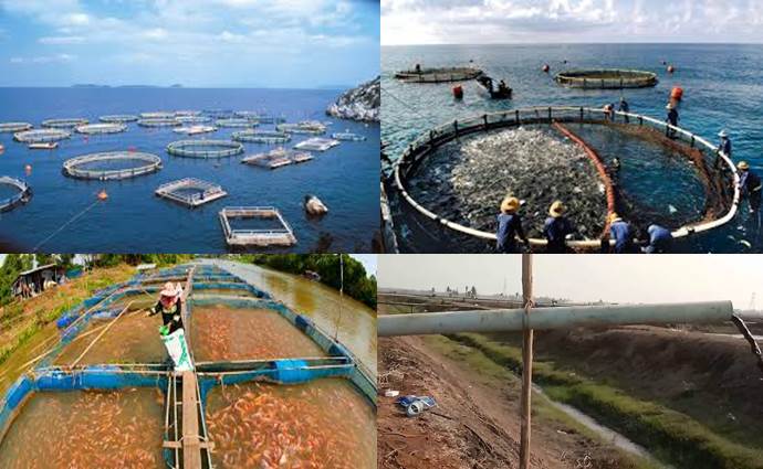 acuicultura-soberania-alimentaria-y-cambio-climatico