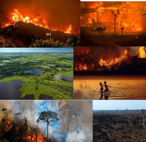 incendios-y-sequia-la-2020-grande