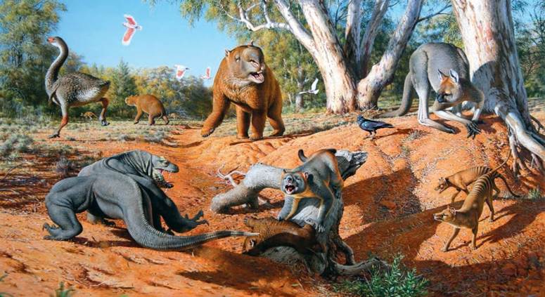 megafauna-prehumana-australia