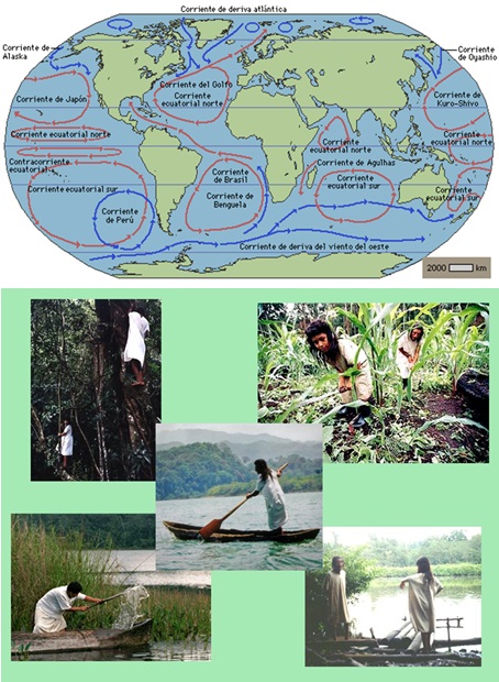 pueblo-seri-y-el-posible-acarbo-genetico-de-los-primeros-mexicanos