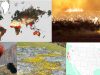 Incendios-y-serpentinas