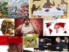 dieta-contra-el-cambio-climatico