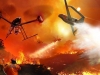 drones-y-vida-salvaje