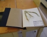 herbario-una-herramienta-imprescindible-en-los-estudios-de-biodiversidad