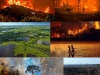 incendios-y-sequia-la-2020-grande