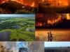 incendios-y-sequia-la-2020peque