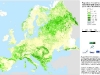 mapa-de-bosques-planifolios-en-europa-fuente-efi