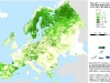 mapa-de-coniferas-en-europa-fuente-efi